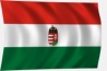 Varrott címeres magyar zászló
